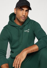 Björn Borg ESSENTIAL HOODIE - Džemperis su gobtuvu - pine grove