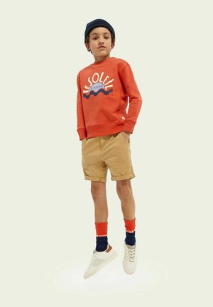GRAPHIC - Sweater - chilli pepper