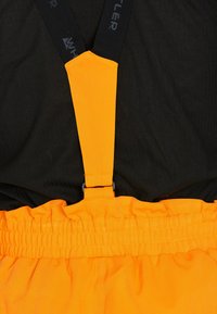 Whistler GIPPSLANG - Skihose - turmeric