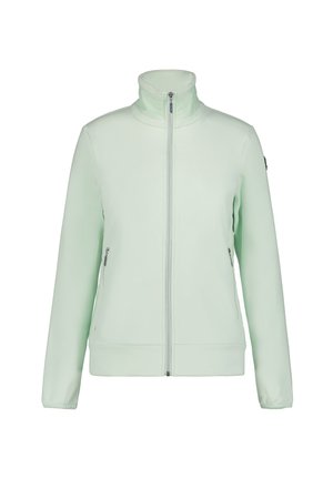Lichtgroene zip-up jas met hoge kraag, voorzien van zijzakken en een gladde, rekbare stoftextuur. Minimalistisch ontwerp.