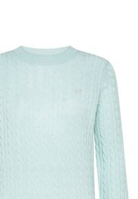 Maglione azzurro chiaro a treccia con scollatura rotonda e maniche lunghe. Presenta un piccolo logo rosso sul lato sinistro del petto. Tessuto morbido.