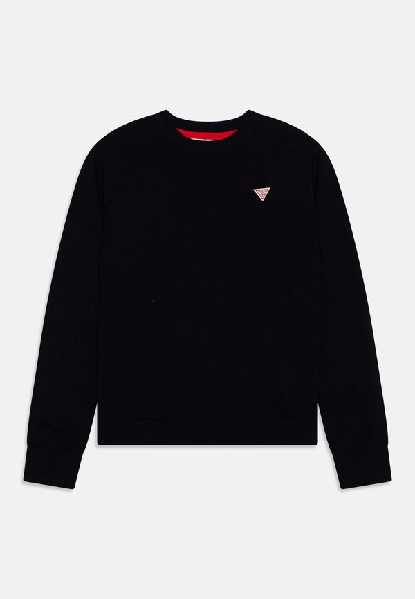 CORE JUNIOR BOY  - Jumper4