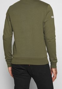Felpa verde oliva con maniche lunghe e polsini a costine. Presenta un design semplice con un logo sulla manica superiore e una texture uniforme.