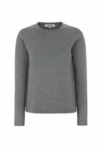 Grijze lange mouwen shirt van zachte stof, met een ronde hals en een eenvoudig ontwerp. Heeft een rechte zoom en minimale details.