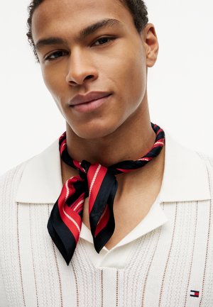 Noor mees, kes kannab valget kootud särki kraega, kaunistatud musta ja punase triibulise siidist kaelasalliga, mis on sõlme seotud.