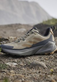 Beige og grå trail løbesko med tekstureret sål hvilende på klippefyldt udendørs terræn med slørede bjerge i baggrunden.