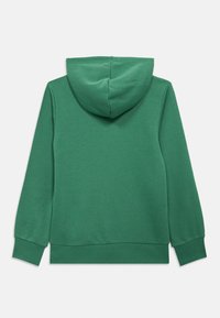 Πράσινο φούτερ από βαμβάκι με λεία υφή, μακριά μανίκια και κουκούλα. Η πίσω πλευρά έχει απλό, χωρίς διακοσμητικά σχέδιο.