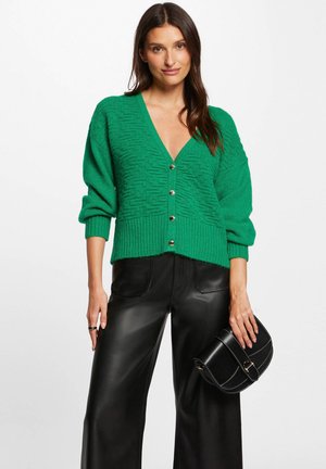 Morgan LONG-SLEEVED V-NECK - Strickjacke - vert