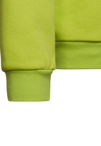 adidas Performance FUSSBALL TEAMSPORT ENTR - Felpa - gruen