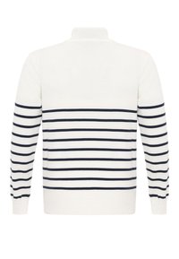 Valkoinen neulepaita, jossa on tummansinisiä vaakaraitoja, korkea kaulus, pitkät hihat ja ribbaatut hihansuut. Sileä pinta, rento muotoilu.