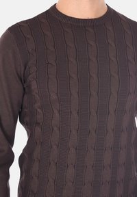 Maglione lavorato a maglia marrone con un motivo a treccia testurizzato, caratterizzato da un collo rotondo e polsini a costine. Il tessuto sembra morbido e flessibile.
