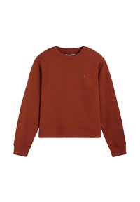 Neselectat, terracota