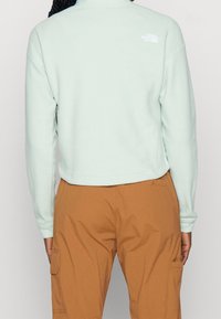 Sweatshirt corto di un verde menta chiaro con polsini a coste, con un logo bianco sul retro. Indossato con pantaloni cargo marroni.