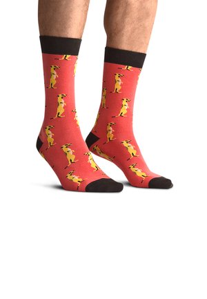 The Arctic Bay JANGWA EDITION GIFT BOX 4 PACK UNISEX - Zoknik - multi coloured