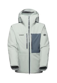 STONEY HS  - Snowboardjacke - silver sage strata