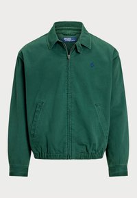 Izbrano, washed forest