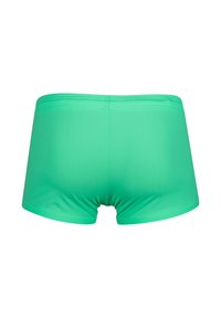 Zelené plavky s hladkým povrchem a elastickým pasem. Design má těsný střih a minimální švy.