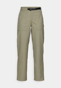CORESPUN CHORE PANTS - Trousers - sage green