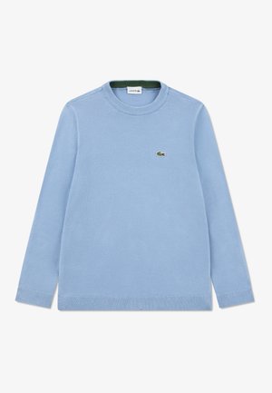 Pulover tricotat bleu deschis, cu mâneci lungi, guler rotund și un mic logo verde pe piept. Detalii cu manșete și tiv cu reiat.