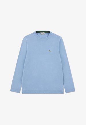 Maglione in maglia azzurro chiaro con maniche lunghe, scollo a girocollo e un piccolo logo verde sul petto. Polsini e orlo a coste.