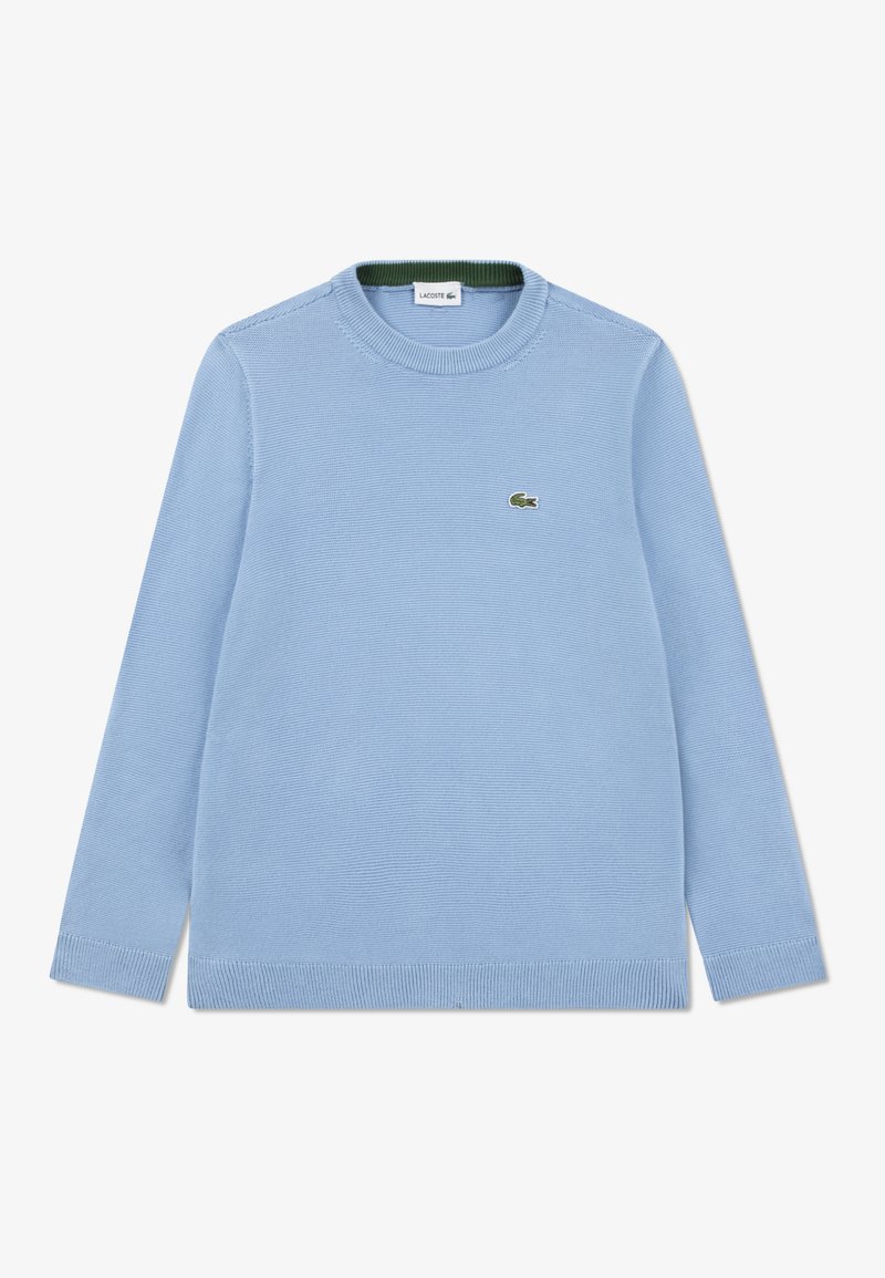 Light blue knit sweater with long sleeves, round neckline, and a small green logo on the chest. Ribbed cuffs and hem detail.
