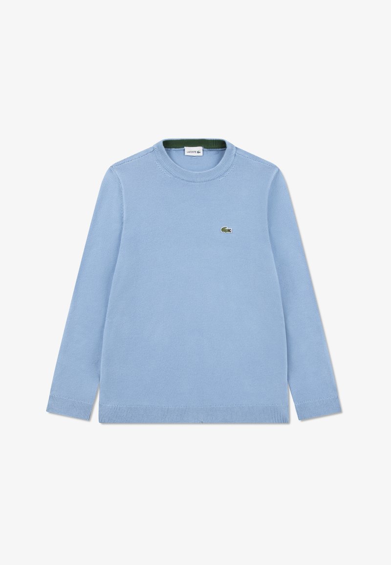 Pull tricot bleu clair à manches longues, col rond, avec un petit logo vert sur la poitrine. Détails en côtes aux poignets et à l'ourlet.