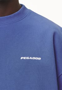 Pegador LOGO OVERSIZED SWEATER - Sweatshirt - washed retro blue/white gum