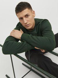 Jack & Jones UNISEX - Sweatshirt - mountain view