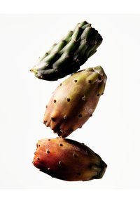 Trois figues de Barbarie empilées verticalement : une vert foncé en haut, une vert clair au milieu, et une brun rougeâtre en bas.