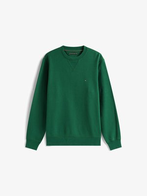 Sudadera de algodón verde con mangas largas, cuello redondo y puños de canalé. Presenta un pequeño logo bordado en el pecho.