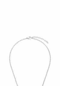 SIlverfärgad kedjehalsband med en delikat länkdesign, utrustad med en kräftklämma och en justerbar kedja för anpassning av längden.