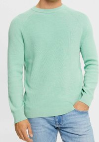 Maglione verde menta chiaro con texture a coste, dotato di scollatura tonda e maniche lunghe, abbinato a jeans blu chiaro.