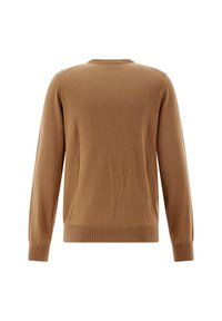 Brown knitted sweater, featuring long sleeves, round neck, and ribbed hem. Soft texture with a smooth, even finish. No visible patterns.