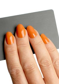 Immagine in miniatura 8