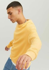 Jack & Jones JJESTAR CREW NECK - Felpa - jojoba