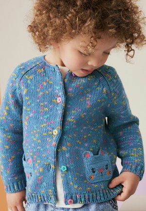 Next CAT - REGULAR FIT - Gilet - navy