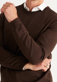 AC&CO / ALTINYILDIZ CLASSICS Strickpullover - brown