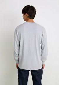 Dickies PLENTYWOOD TEE - Hosszú ujjú felső - ultimate gray