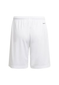adidas Performance SQUADRA 21 Y - Kurze Sporthose - white