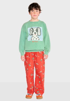 Chlapec oblečený v zelenom mikine s ilustráciou škvrnitého psa a červených nohaviciach s potlačou kráv a kaktusov, stojaci pred jednoduchým pozadím.