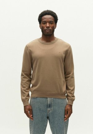 Homme aux cheveux courts et bouclés portant un pull marron clair à manches longues et un jean bleu, debout devant un fond clair uni.
