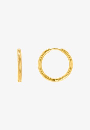 Gouden ringoorbellen met een glad, rond ontwerp. Ze hebben een slanke vorm en een beveiligingsmechanisme met een kleine stip als accent.