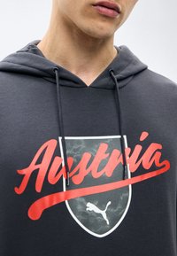 Άτομο που φοράει σκούρο γκρι φούτερ με κουκούλα και κόκκινο κείμενο "Austria" καθώς και ένα σήμα ασπίδας με μια πάνθηρα στο στήθος.