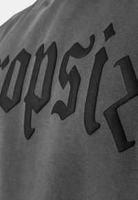 Dropsize HEAVY PRINT - Kapuzenpullover - washedgrey