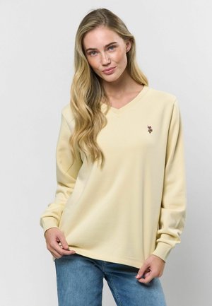 MACY V-NECK - Ikdienas džemperis - bleached sand