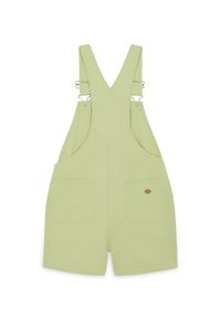 Dickies DUCK BIB  - Salopette - stone washed pale green