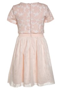 Jasnoróżowa sukienka z haftowanym kwiatowym gorsetem, krótkimi rękawami i plisowaną spódnicą. Zapinana z tyłu na zamek.