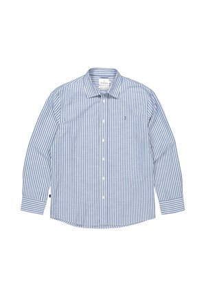 Männer-Hemd mit langen Ärmeln, blau-weiß vertikal gestreift, mit Knöpfen, Kragen und Manschetten, flach auf einem weißen Hintergrund ausgelegt.