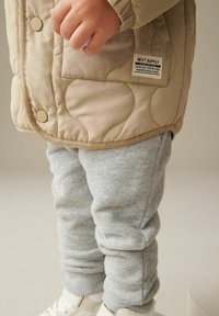 Next QUILTED STANDARD - Übergangsjacke - neutral