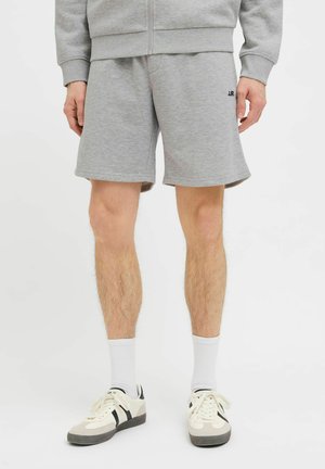 REGULAR FIT - Pantalones deportivos - light grey melange